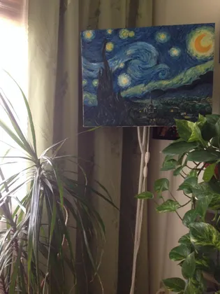 Just finished Starry Night oil painting ft. my plants