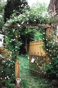 Cottagecore Aesthetic Cottagecore Aesthetic
