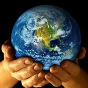 Go green! Go green!
