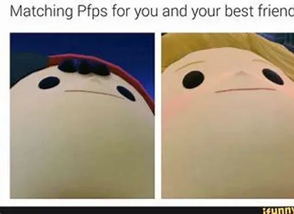 Cute matching pfp's >w<