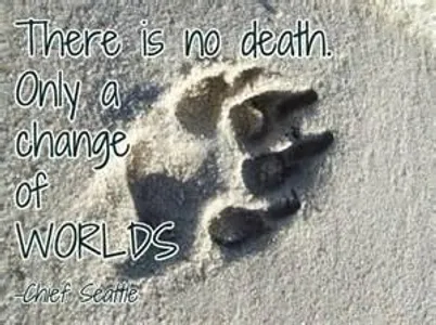 Rest in Peace, Little Pets.