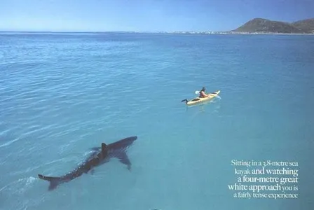 Worst fears