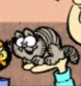 the real qfeast family the real qfeast family