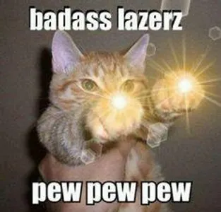Animal Memes