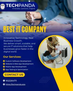 Best It Company in Indore (3)