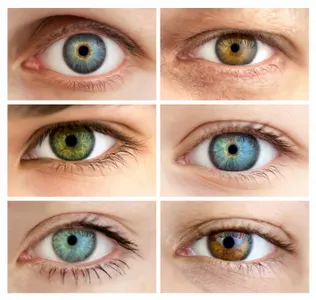 What eye colour do you have? What eye colour do you have?