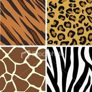 Leopard or zebra print? Leopard or zebra print?