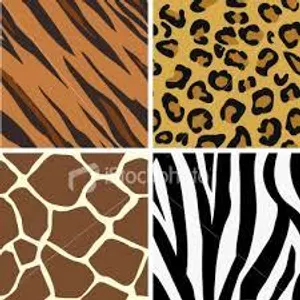 Leopard or zebra print?