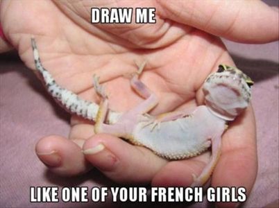 what's your favorite meme? what's your favorite meme?