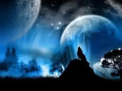 do you like wolves? (1)