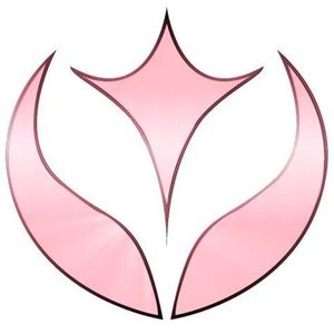 Which Fairy-Type Pokemon? Which Fairy-Type Pokemon?