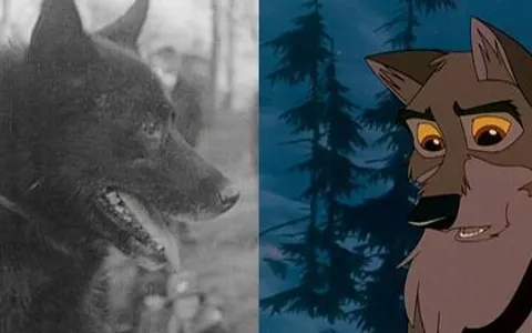 Which Balto? Which Balto?