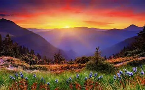 Which landscape is better?