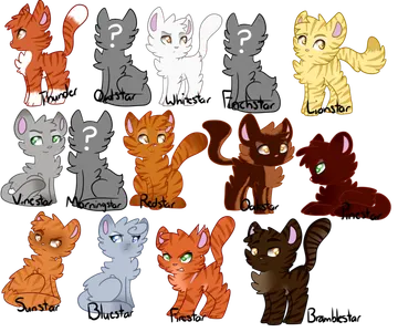 Best thunderclan leader Best thunderclan leader