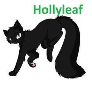 Do you like Hollyleaf in pony or cat form?