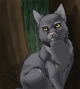 What is your favorite warrior cat? What is your favorite warrior cat?