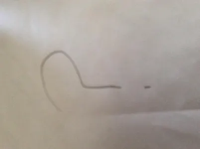 What would you rather do? (2)