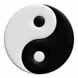 ying or yang? ying or yang?