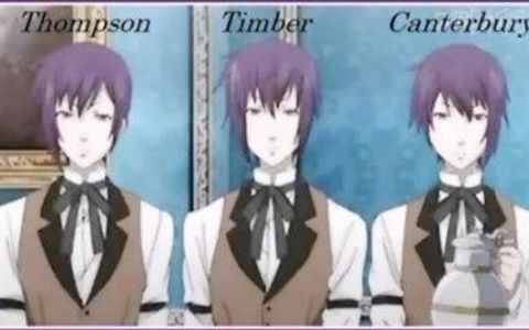 Thompson,Timber,or Canterbury? Thompson,Timber,or Canterbury?