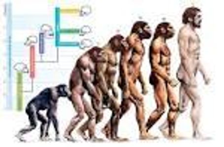 how advanced do you think people will get? how advanced do you think people will get?
