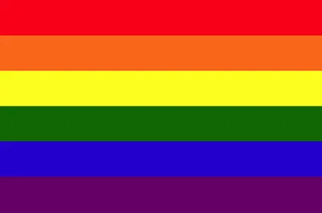 Do you support Gay rights? (If not please no mean comments)