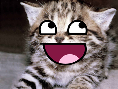 Do you think your annoying or awesome? Do you think your annoying or awesome?