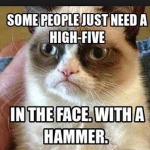Do you like grumpy cat? Do you like grumpy cat?