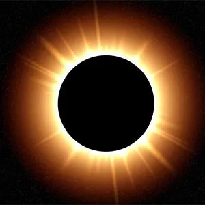 Dark or Light Dark or Light