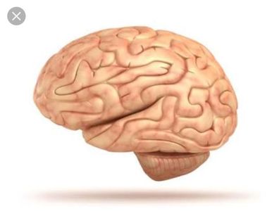 Which fictional high school brain would you be? Which fictional high school brain would you be?