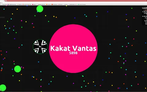 What's your highest rank on Agar.io?