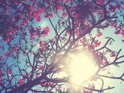 What is your favourite dessert out of these?