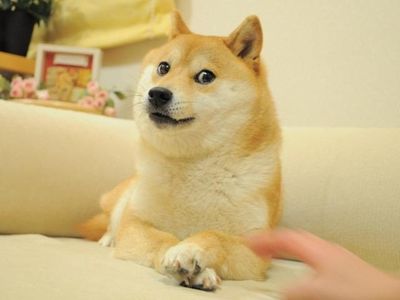 How do you pronounce doge? How do you pronounce doge?