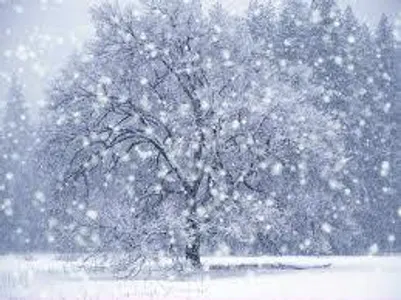 What is your season?