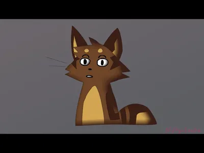 Woah a Quiz! Woah a Quiz!
