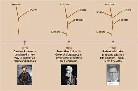 Test Your Knowledge on Evolution Test Your Knowledge on Evolution