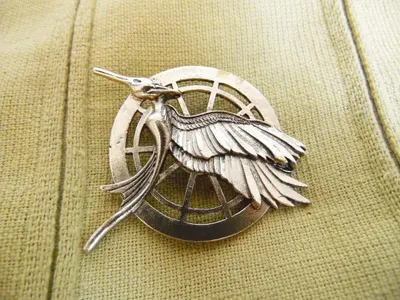 Discover Your Inner Bird