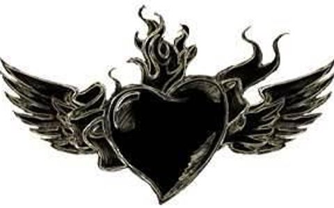 what heart do you have???? what heart do you have????