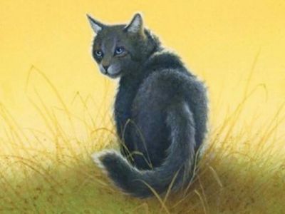 How well do you know Cinderpelt? How well do you know Cinderpelt?