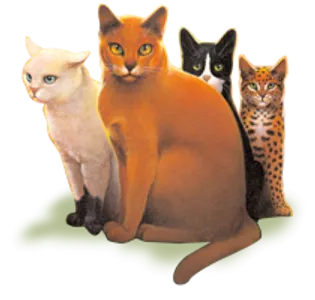 What Warrior Cat are you? (2nd Series cats)