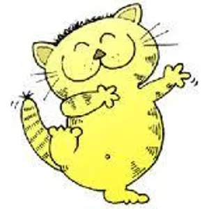 Cat or Kitten Cat or Kitten
