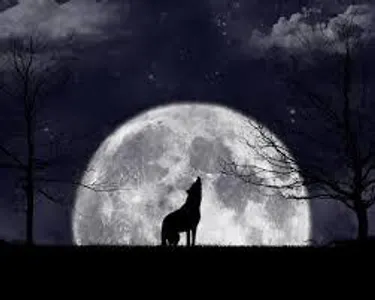 your hogwarts life part 2