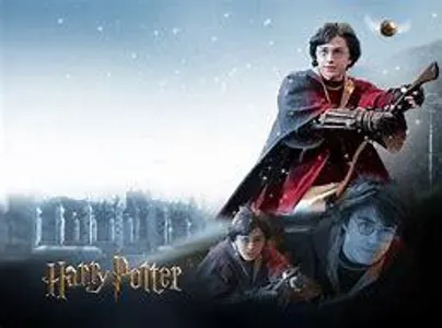Which Position in Quidditch Fits You?