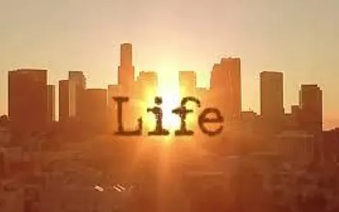 Your Life Quiz - Try The Expert / Accurate Mode