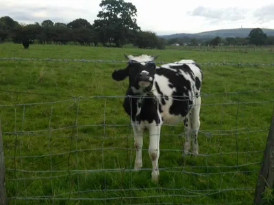 When will your period arrive?