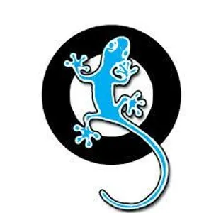 What type of Qfeast User Are You?