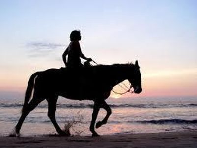 What Type of Horse rider are you? What Type of Horse rider are you?