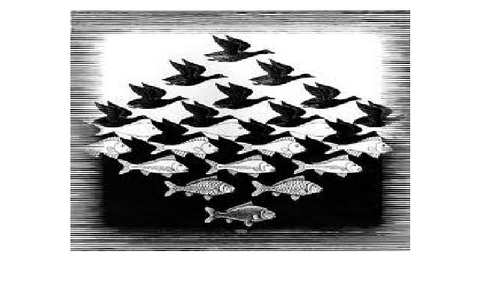 can you see the illusion? can you see the illusion?