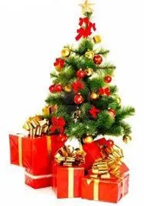 Which must-have christmas gift will you get?