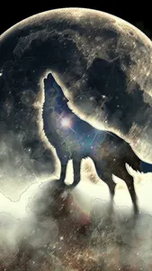 What kind of animal are you at night? What kind of animal are you at night?