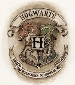 what harry potter house are you in (1)